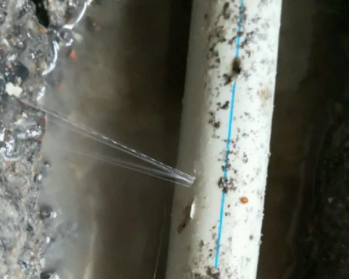 苏家屯卫生间测漏水多少钱