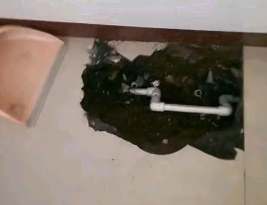苏家屯卫生间测漏水多少钱